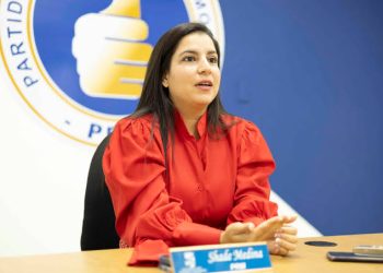 Regidora del DN muestra preocupación plazoleta que limita el acceso y las maniobras de los camiones de bomberos, en cuartel del sector los Ríos