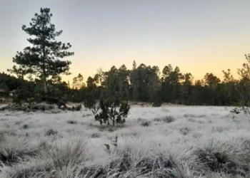 Frío intenso en la montaña: Valle Nuevo amanece a 1 °C