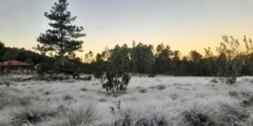 Frío intenso en la montaña: Valle Nuevo amanece a 1 °C
