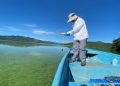 Sigue en curso investigación de Medio Ambiente sobre la coloración verde del agua en la presa de Hatillo