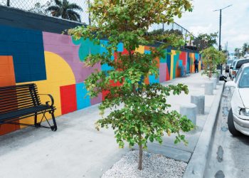 Alcaldía del DN recuperó cerca de 35,000 metros lineales de espacios públicos en 2025