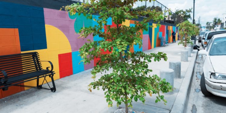 Alcaldía del DN recuperó cerca de 35,000 metros lineales de espacios públicos en 2025