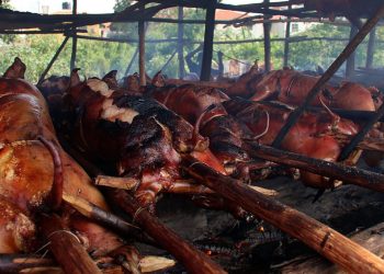 Pro Consumidor iniciará despliegue de supervisión en lechoneras para garantizar calidad e inocuidad de las carnes