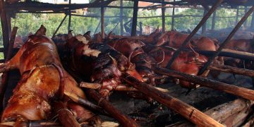 Pro Consumidor iniciará despliegue de supervisión en lechoneras para garantizar calidad e inocuidad de las carnes