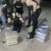 Interceptan hombre a bordo de vehículo con 78 libras presumiblemente marihuana