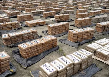 Hallan tres toneladas de droga en una finca de un municipio en Ecuador