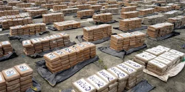 Hallan tres toneladas de droga en una finca de un municipio en Ecuador