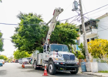 Edesur desarrollará jornada de construcción de nuevas redes este viernes