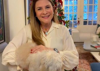 Carolina anuncia que sexta edición de Plásticos por Juguetes se realizará el 11 de enero