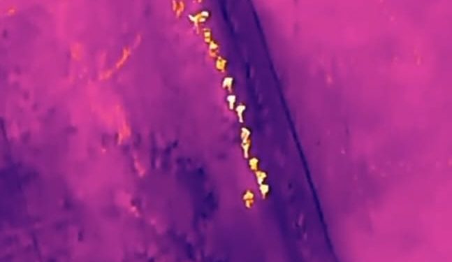 Ejército localiza con drones grupo de haitianos indocumentados en una vivienda en construcción en Dajabón