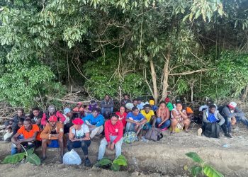 Ejército detiene 54 haitianos indocumentados durante operativos en Montecristi y Valverde