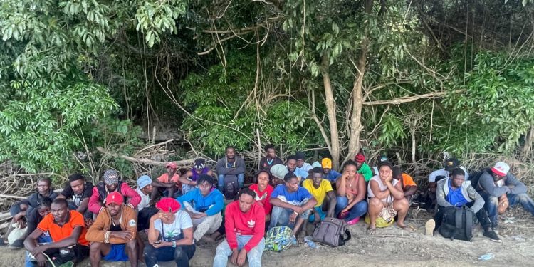 Ejército detiene 54 haitianos indocumentados durante operativos en Montecristi y Valverde