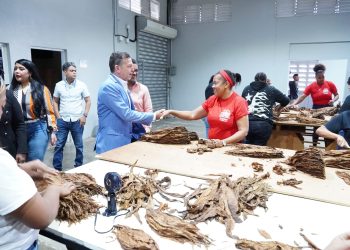 Proindustria impulsará mesa estratégica para relanzar la Zona Franca de Bonao y preservar empleos