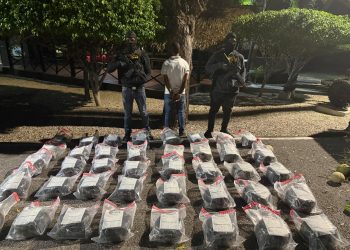 DNCD desarticula red de tráfico de drogas e incauta 209 libras de marihuana, vehículos y un arma de fuego