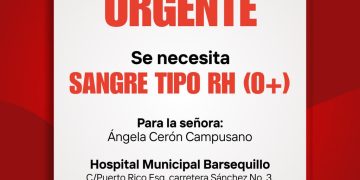 Solicitan donante de sangre O+ para Ángela Cerón Campusano