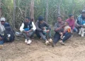 Detienen haitianos indocumentados en zonas rurales de Dajabón