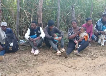 Detienen haitianos indocumentados en zonas rurales de Dajabón