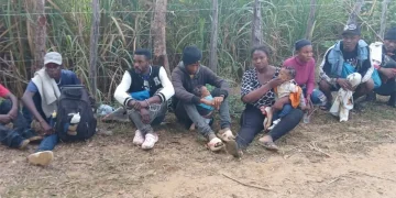 Detienen haitianos indocumentados en zonas rurales de Dajabón