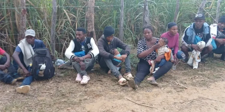 Detienen haitianos indocumentados en zonas rurales de Dajabón