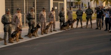 Consejo Superior del Ministerio Público crea Unidad Canina para fortalecer búsqueda de personas desaparecidas