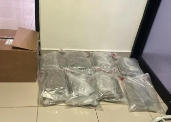 Decomisan 15 paquetes de presunta marihuana en el AILA