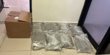 Decomisan 15 paquetes de presunta marihuana en el AILA