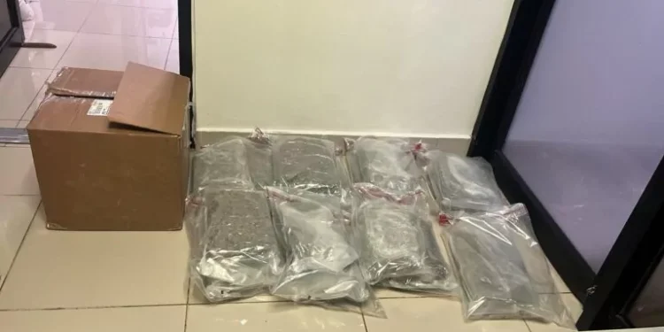 Decomisan 15 paquetes de presunta marihuana en el AILA