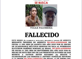 Cae abatido en Los Frailes reconocido delincuente “Tulile/Palomería”, al enfrentar patrulla 