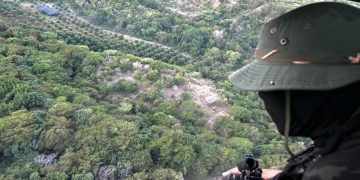 Desmantelan extensa plantación de Marihuana en Baní; DNCD persigue tres hombres 