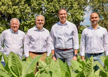 Exportaciones de tabaco de RD se incrementan más de 1,000 millones de pesos en 2025 informa INTABACO