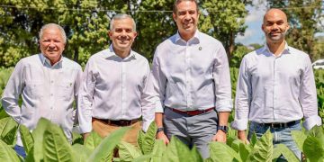 Exportaciones de tabaco de RD se incrementan más de 1,000 millones de pesos en 2025 informa INTABACO