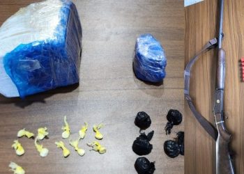 Apresan dos hombres y ocupan cerca de 1,000 gramos de drogas y un arma ilegal en Polo, Barahona