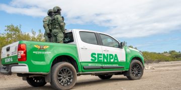 Medio Ambiente presenta balance de gestión y consolida avances en protección ambiental