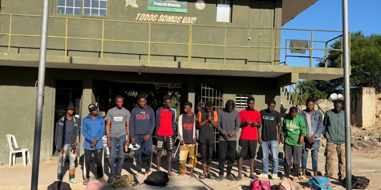 Ejército Dominicano arrestó más de 19 mil haitianos solo en el mes de enero
