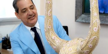 Viceministro Cultura Pastor De Moya dice:  “El carnaval es la mayor manifestación del derecho a la alegría del pueblo dominicano”