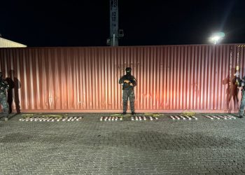 DNCD ocupa 69 paquetes de presunta cocaína ocultos en contenedor en Puerto Caucedo 
