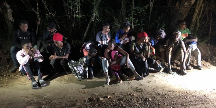 Un grupo de 32 nacionales haitianos indocumentados fue interceptado por el Ejército en zona boscosa de Montecristi