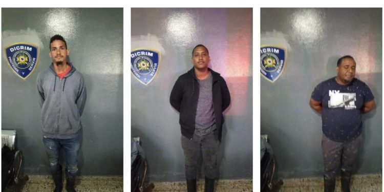 Policía Nacional recupera 18 vacas robadas y detiene a cuatro hombres en Higüey