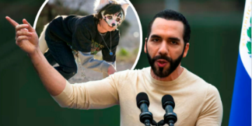 El presidente de El Salvador, Nayib Bukele, anunció la prohibición de conductas vinculadas al fenómeno “therian”