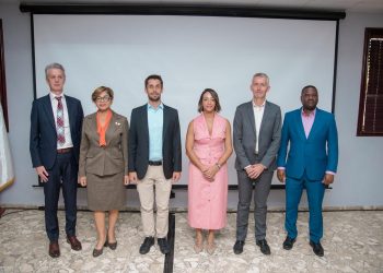 Gobierno dominicano y Francia impulsan seminario para promover un sistema eléctrico más sostenible y resiliente