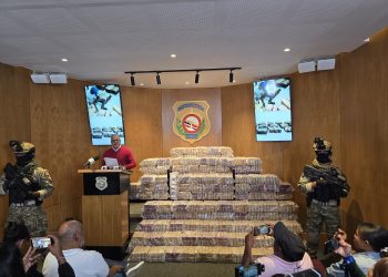 DNCD intercepta en Puerto Caucedo contenedor con 700 parques de presunta cocaína 