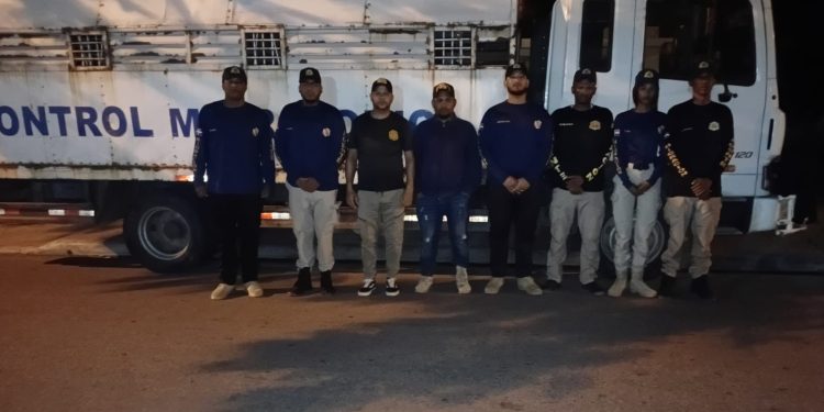 Operativos migratorios del viernes dejan 1,089 detenidos y 948 deportados tras acciones coordinadas a nivel nacional