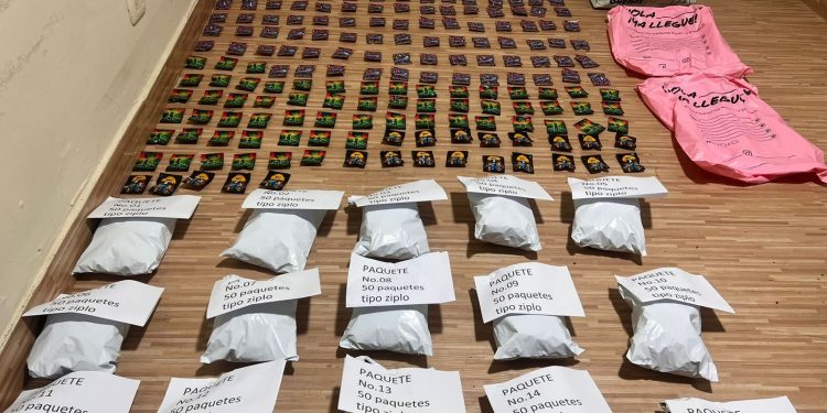 Dintel y Dicrim ocupan 950 porciones de narcóticos en Monte Plata