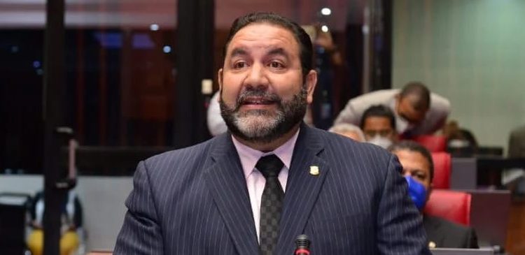 Genao valora aprobación del Senado del proyecto de ley para suprimir las candidaturas independientes en RD