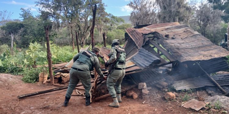 Autoridades detienen 21 extranjeros en operativo ambiental en Parque Nacional Sierra de Bahoruco