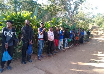 Ejército detiene a 51 extranjeros en condición migratoria irregular en Santiago Rodríguez y Dajabón