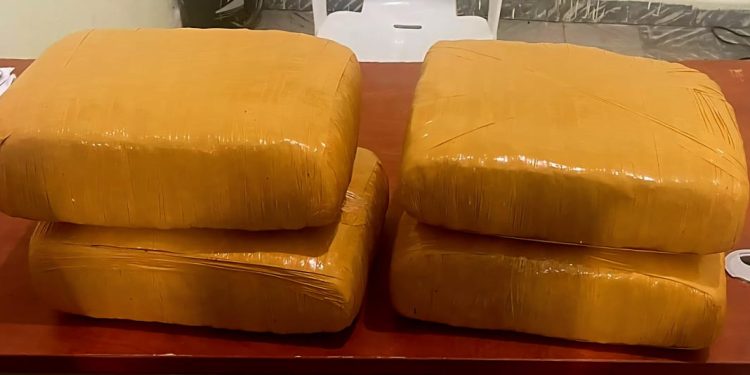 Ejército ocupa cuatro pacas de presunta marihuana abandonadas en zona fronteriza de Elías Piña