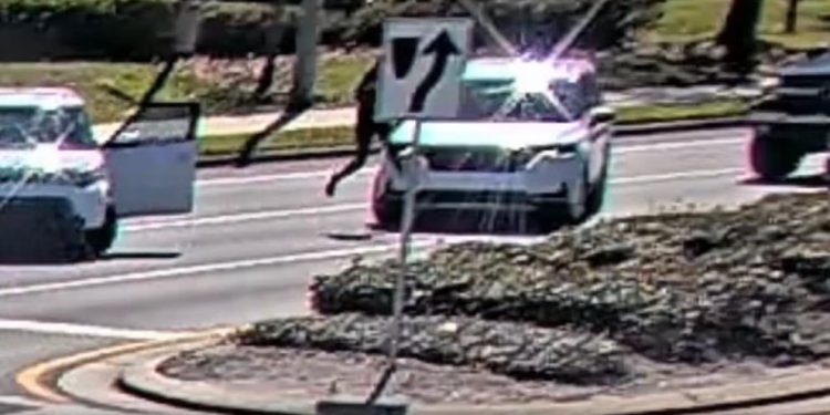 Mujer es arrestada en Orlando tras agredir a una embarazada, atacar a una mujer mayor y morder a un policía