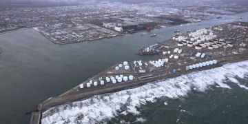 Terremoto y tsunami en Japón: reportan una suba del mar de 80 centímetros en el puerto de Kuji