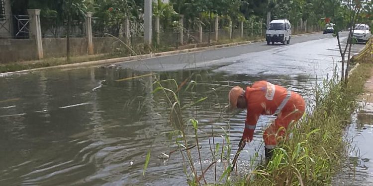 Acosde llama a pacto de Estado urgente por drenaje pluvial